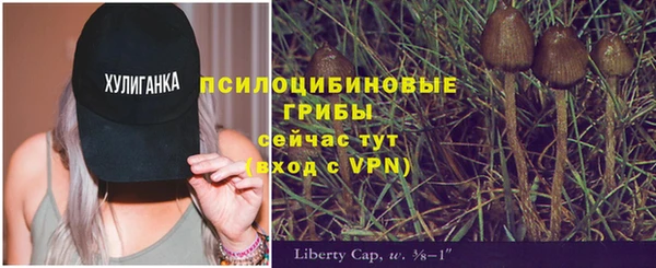 круглые Алзамай