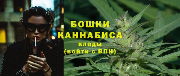 ешки Аркадак
